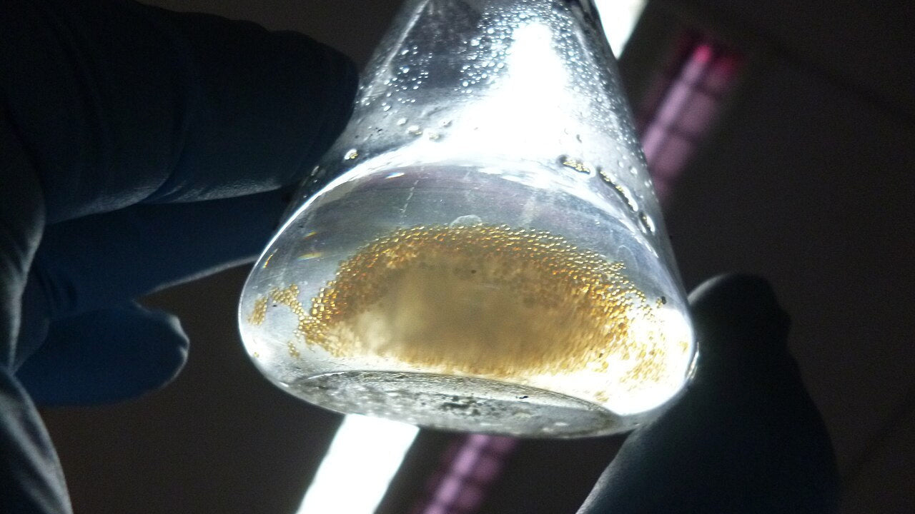 Glycerol Quantification