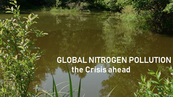 A pond with "Global Nitrogen Pollution the Crisis Ahead"