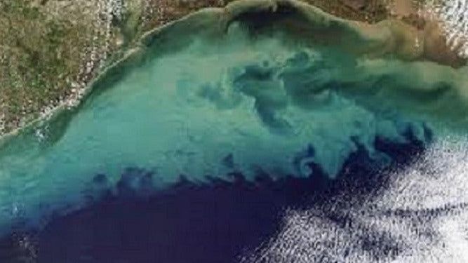 30 Years to Deplete Nitrogen in Mississippi Basin