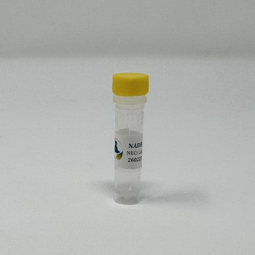 NADH for Nitrate Reductase Assays - Clear plastic tube containing freeze-dried NADH cofactor