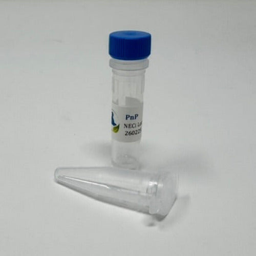 Plastic tube of PNP enzyme and vial of enzyme diluent