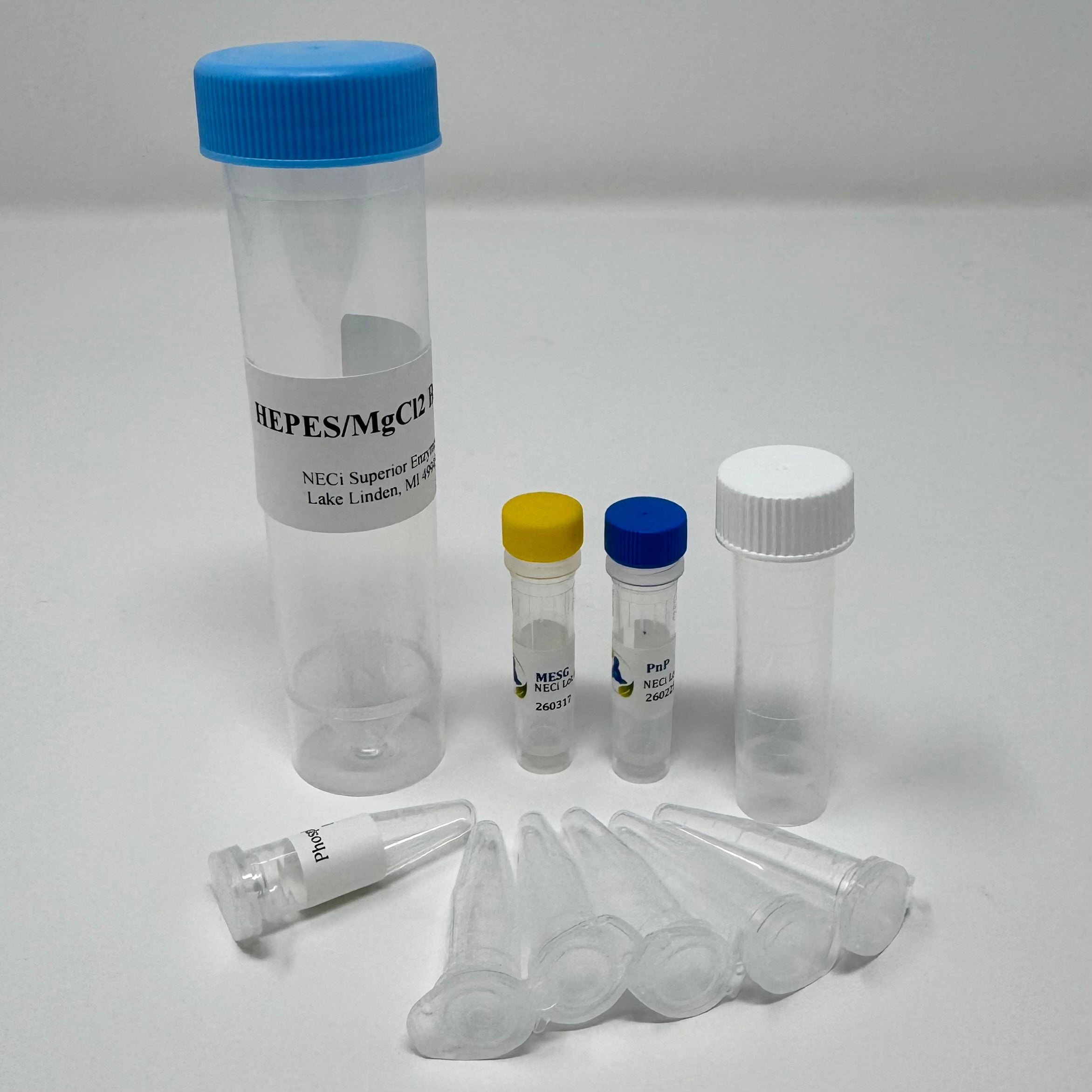 Benchtop Phosphate Test Kit - Standard Range kit with MESG, PnP, HEPES/MgCl2 buffer, Phosphate Standard, standard tubes, and dilution tube.