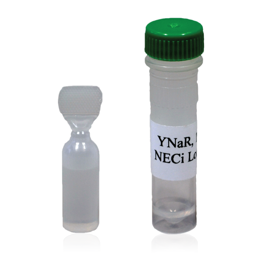 Nitrate Reductase: YNaR