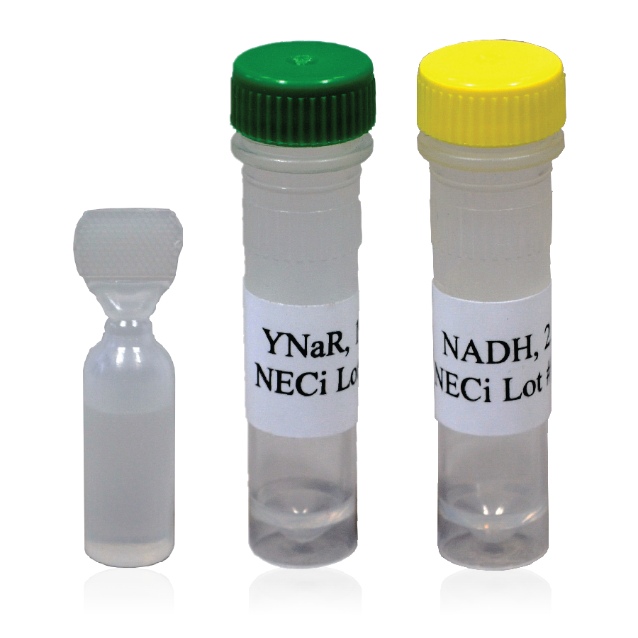 YNaR + NADH Reagent Packs