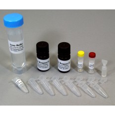 Test Tube Nitrate Test Kit for 25 Samples