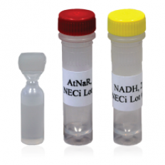 Reagents for Discrete Analyzers Using NADH Disappearance