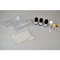 Microplate Format Nitrate Test Kit