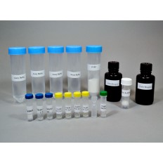 Nitrate Reductase Activity Assay Kit