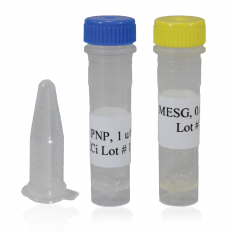 PNP +  MESG Reagent Pack