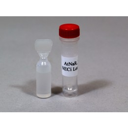 Nitrate Reductace: AtNar 5.0 units